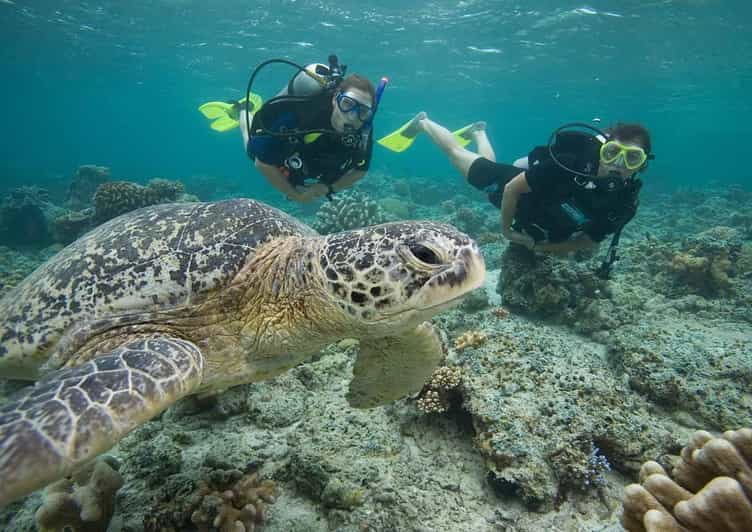 Playa Del Carmen: Discover Scuba Diving in Riviera Maya - Experience Details