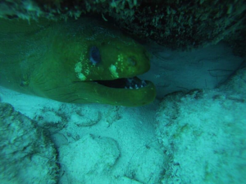 Playa Del Carmen: Discover Scuba Diving in Riviera Maya - Instruction and Equipment