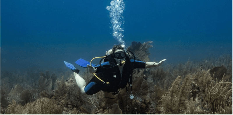 Playa Del Carmen: Discover Scuba Diving - Key Points