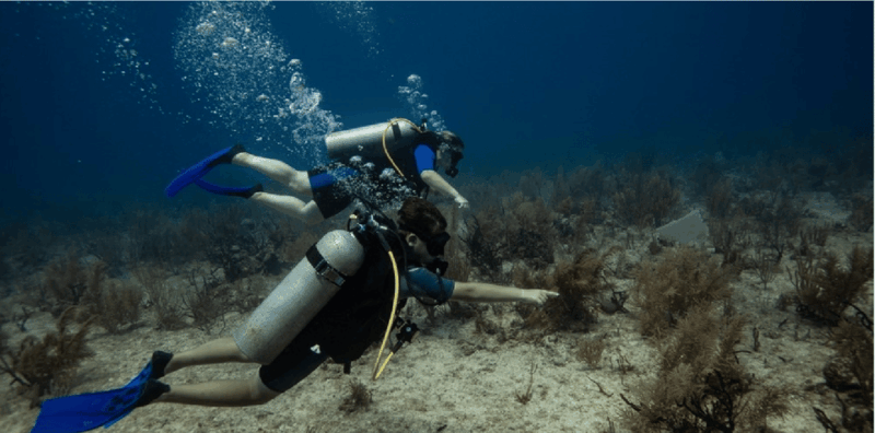Playa Del Carmen: Discover Scuba Diving - Experience Highlights
