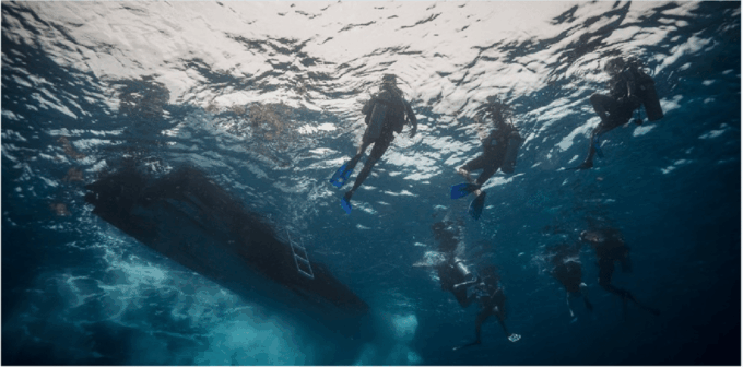 Playa Del Carmen: Discover Scuba Diving - Certification Requirements