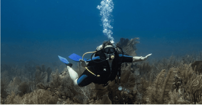 Playa Del Carmen: Discover Scuba Diving - Cancellation Policy