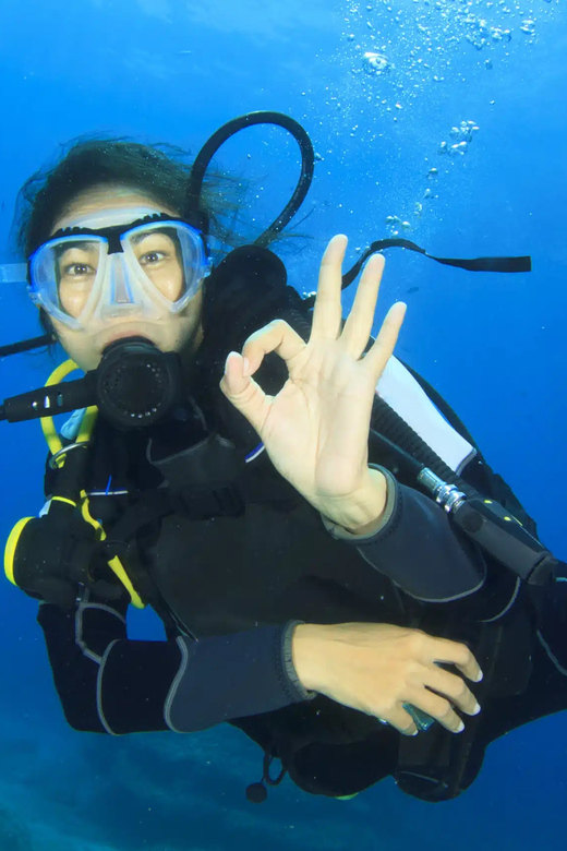 Playa Del Carmen: Discovery Scuba Diving Experience - Key Points