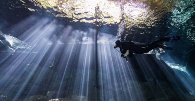 Playa Del Carmen: Diving at Cenote Dos Ojos - Diving Experience
