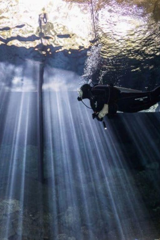 Playa Del Carmen: Diving the Pit and Dos Ojos - Key Points