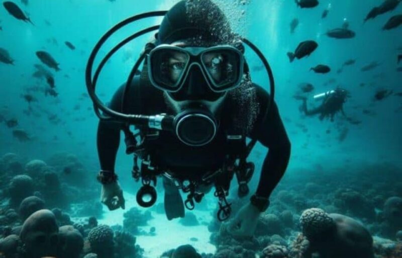 Playa Del Carmen: Diving the Pit and Dos Ojos - Diving Experience Highlights