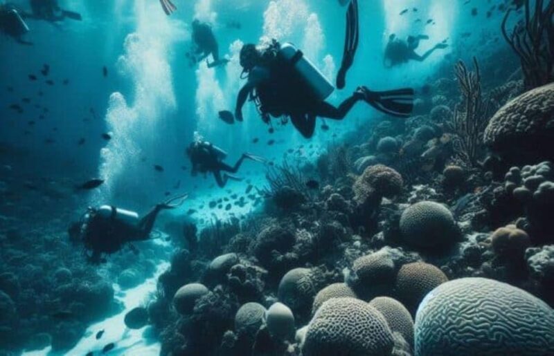 Playa Del Carmen: Diving the Pit and Dos Ojos - Participant Requirements