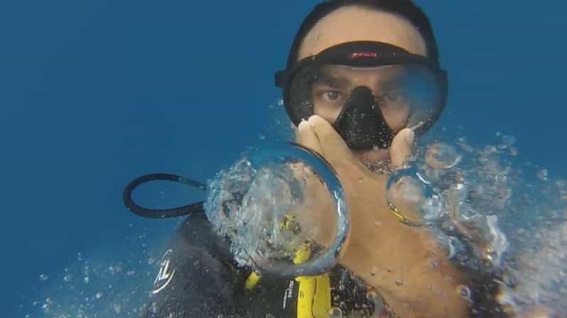 Playa Del Carmen: Extreme Cozumel Diving by Speed Boat - Key Points
