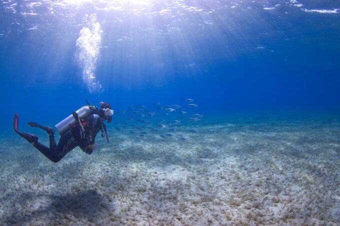 Playa Del Carmen: Extreme Cozumel Diving by Speed Boat - Preparation and Meeting Point