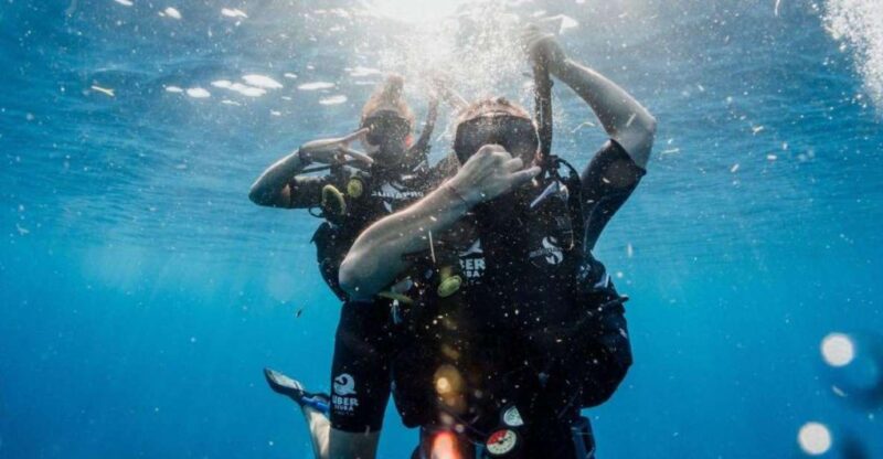 Playa Del Carmen: Fun Dive Experience for Certified Divers - Requirements and Restrictions