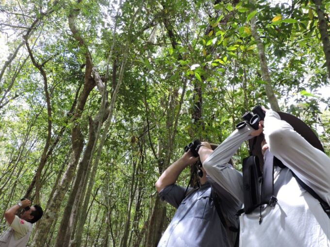 Playa Del Carmen: Guided Birdwatching Hike - Expert Guide Expertise