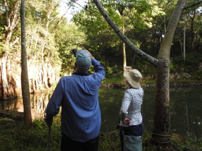Playa Del Carmen: Guided Birdwatching Hike - Customer Feedback