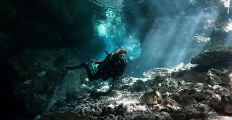 Playa Del Carmen: Guided Cenote Diving Adventure - Key Points