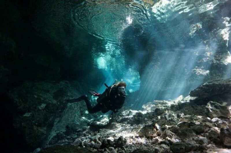 Playa Del Carmen: Guided Cenote Diving Adventure - Pricing and Booking
