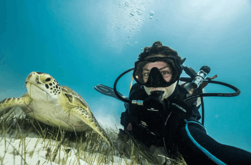 Playa Del Carmen: Guided Reef Diving for All Skill Levels - Customer Feedback