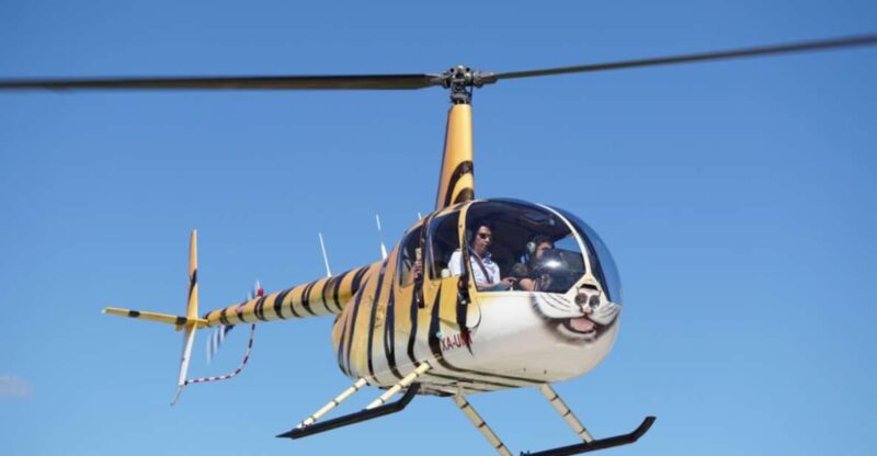 Playa Del Carmen: Helicopter Tour - Experience and Itinerary