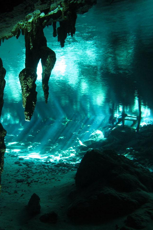 Playa Del Carmen: High-Octane Cenote Diving Combo - Equipment and Fees