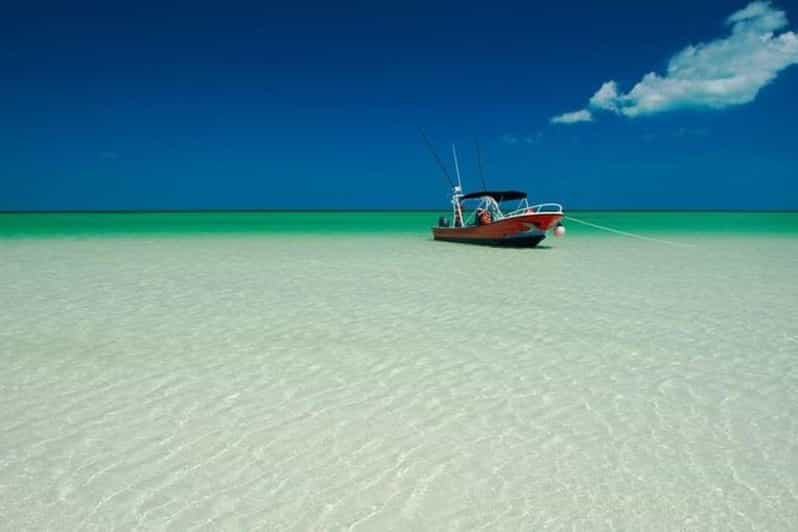 Playa Del Carmen: Holbox Island and Cenote Tour With Lunch - Itinerary Highlights
