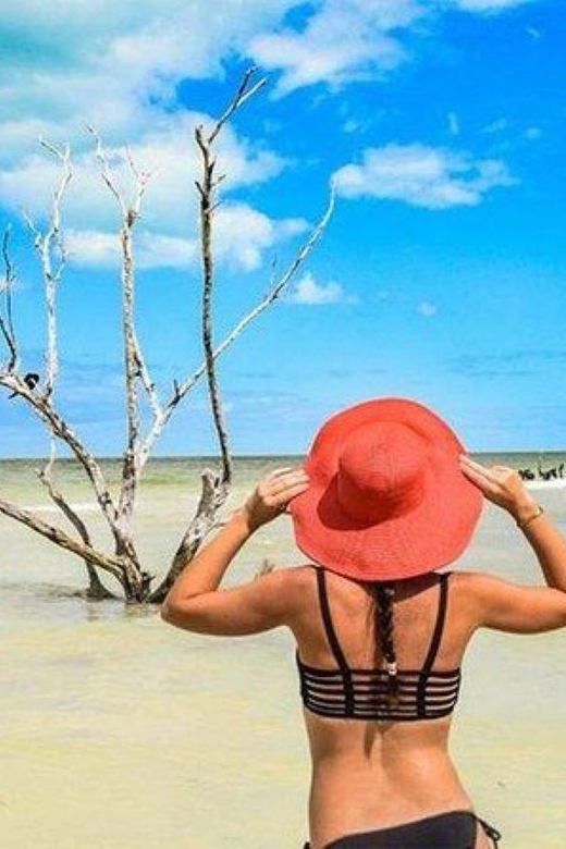 Playa Del Carmen: Holbox Island and Cenote Tour With Lunch - Activities and Attractions