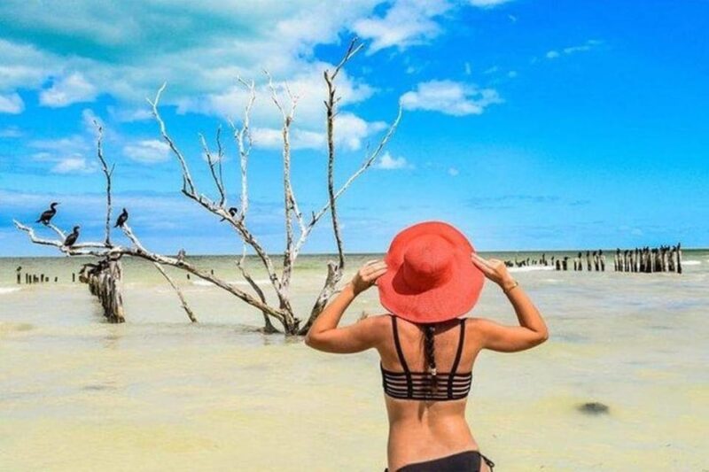 Playa Del Carmen: Holbox Island and Cenote Tour With Lunch - Preparation and Restrictions