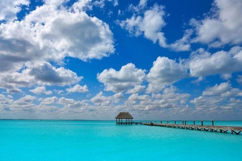 Playa Del Carmen: Holbox Island and Cenote Tour With Lunch - Pricing and Booking