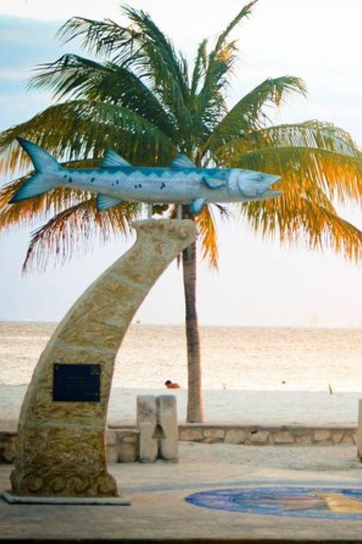 Playa Del Carmen: Isla Mujeres Unlimited Open Bar Catamaran - Transportation and Fees