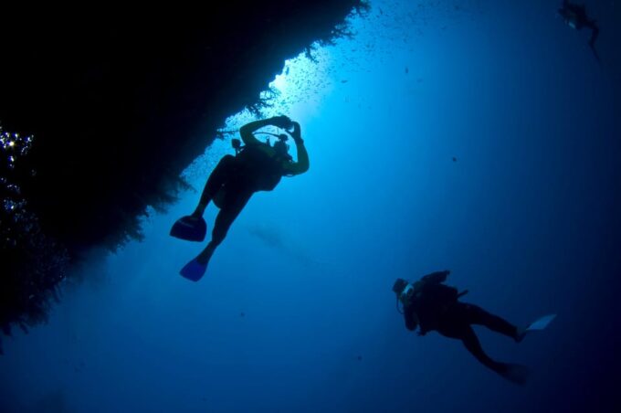 Playa Del Carmen: Local Reef Diving in Riviera Maya - Exploring the Vibrant Reef