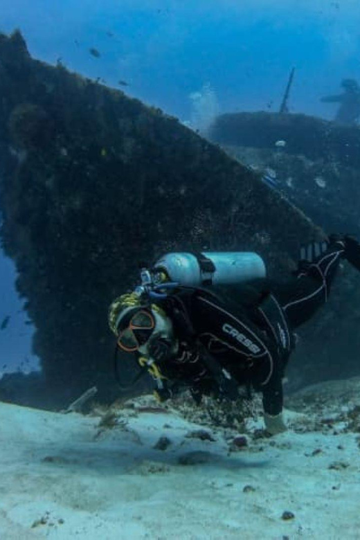 Playa Del Carmen: Mama Viña Shipwreck & Reef Diving - Diving Experience