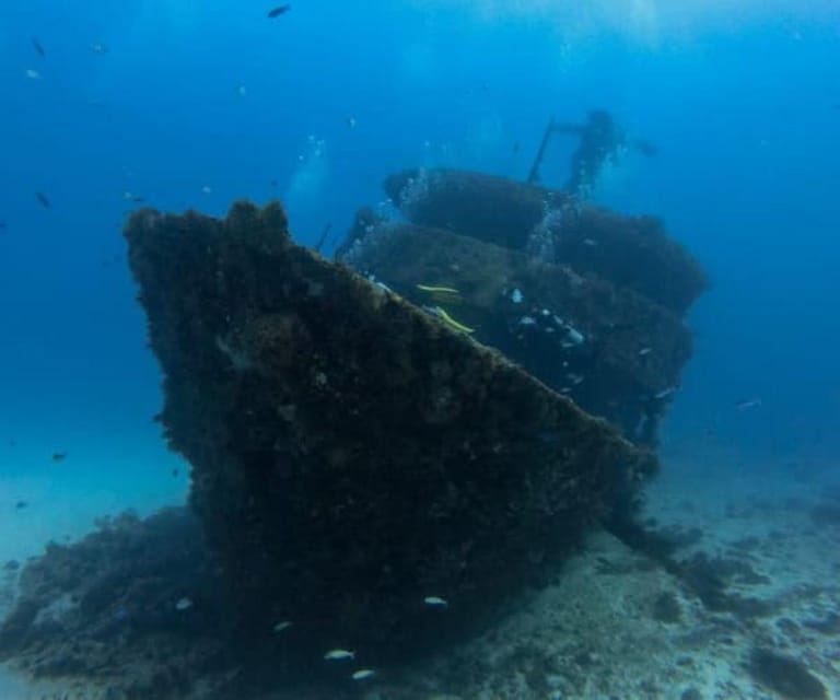 Playa Del Carmen: Mama Viña Shipwreck & Reef Diving - Site Description