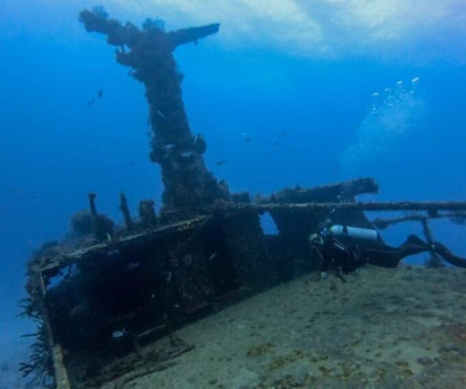 Playa Del Carmen: Mama Viña Shipwreck & Reef Diving - Suitability for Divers