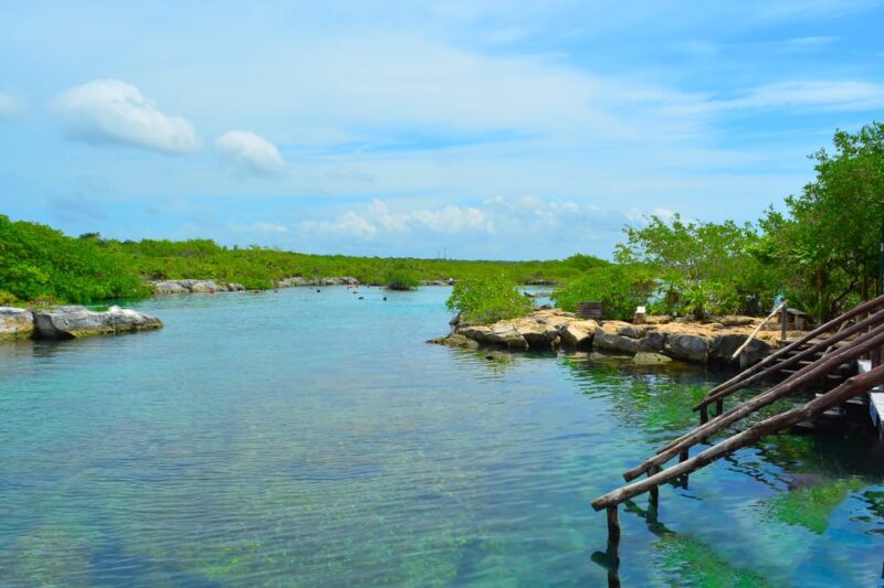 Playa Del Carmen: Mayan Adventour & Snorkeling in Cenote - Buffet Lunch Details