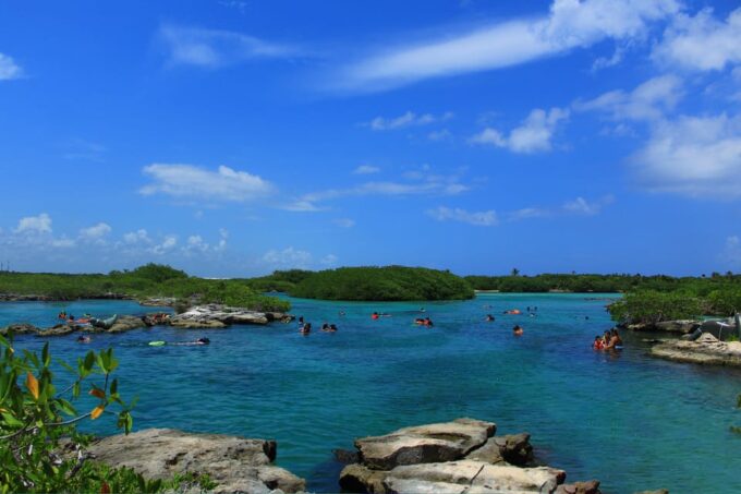 Playa Del Carmen: Mayan Adventour & Snorkeling in Cenote - Cenote Snorkeling Experience