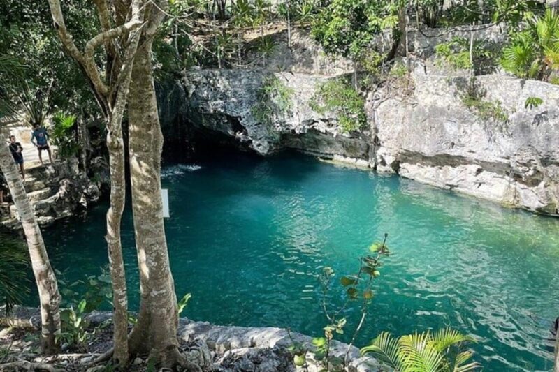 Playa Del Carmen: Mayan Jungle Atv, Cenote and Zip Line - Key Points