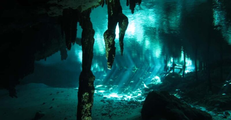 Playa Del Carmen: Mind-Blowing Diving at Cenote Dos Ojos - Participant Requirements