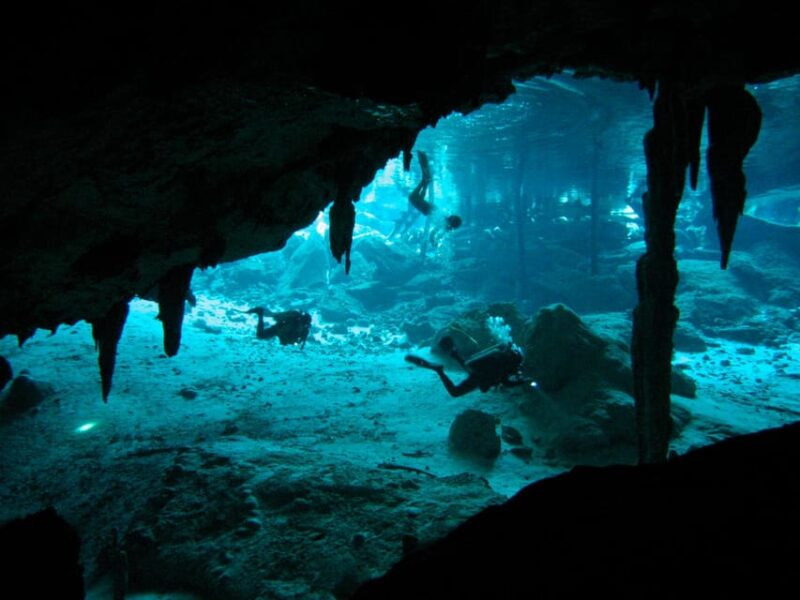 Playa Del Carmen: Mind-Blowing Diving at Cenote Dos Ojos - What to Bring and Important Notes