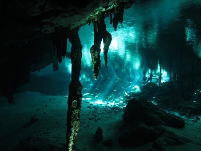 Playa Del Carmen: Mind-Blowing Diving at Cenote Dos Ojos - Exploring the Captivating Cenotes