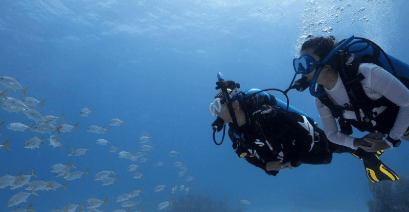 Playa Del Carmen: Ocean Dive Tour - Key Points