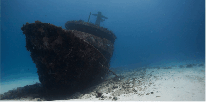 Playa Del Carmen: Ocean Dive Tour - Diving Experience