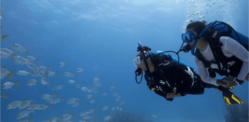 Playa Del Carmen: Ocean Dive Tour - Booking Information