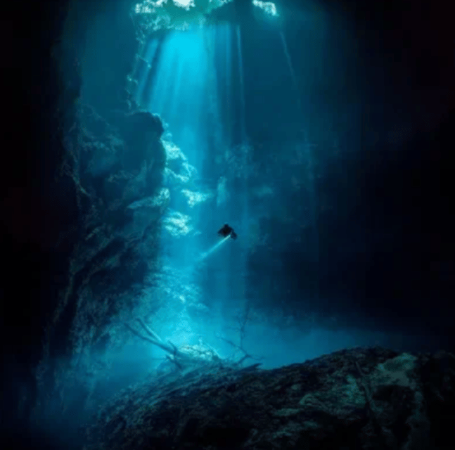 Playa Del Carmen: PADI Nitrox Speciality Course - Benefits of Nitrox Diving