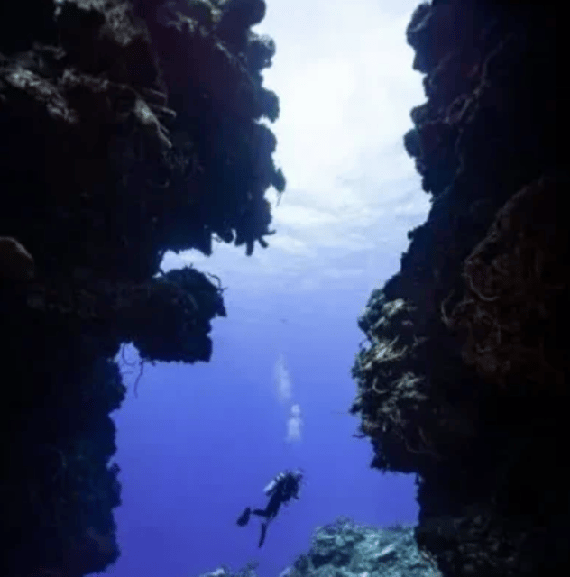 Playa Del Carmen: PADI Nitrox Speciality Course - Instructor Fluency and Amenities