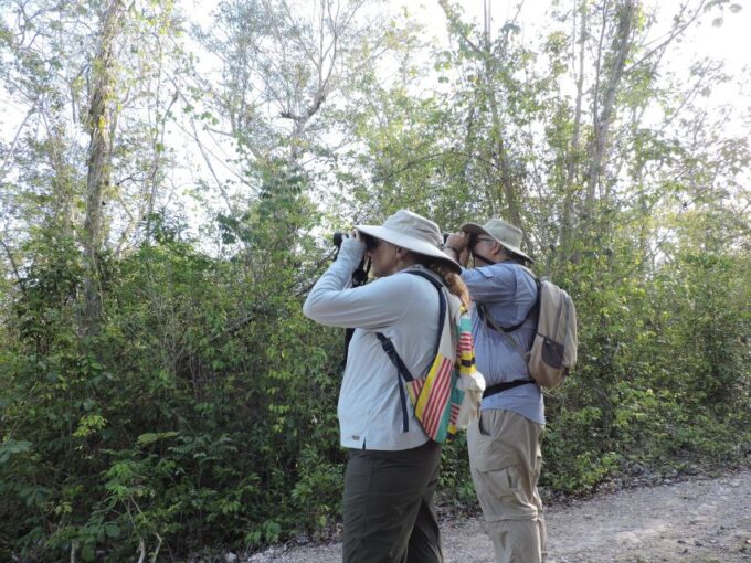 Playa Del Carmen: Private Morning Birdwatching Tour - Frequently Asked Questions