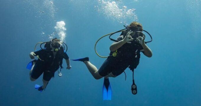 Playa Del Carmen: Refresher Dive - Rental Equipment