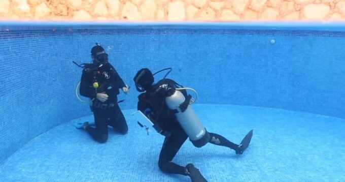 Playa Del Carmen: Refresher Dive - Highlights of the Experience