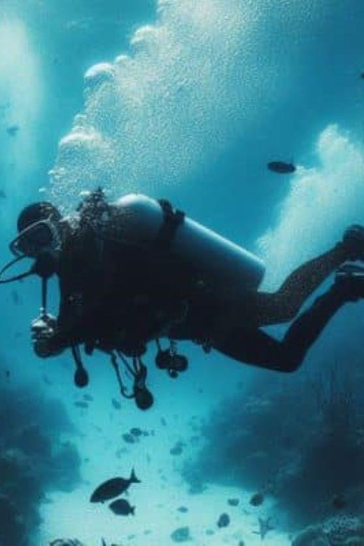 Playa Del Carmen: Scuba Diving at Playa Del Carmen Reef - Cancellation Policy