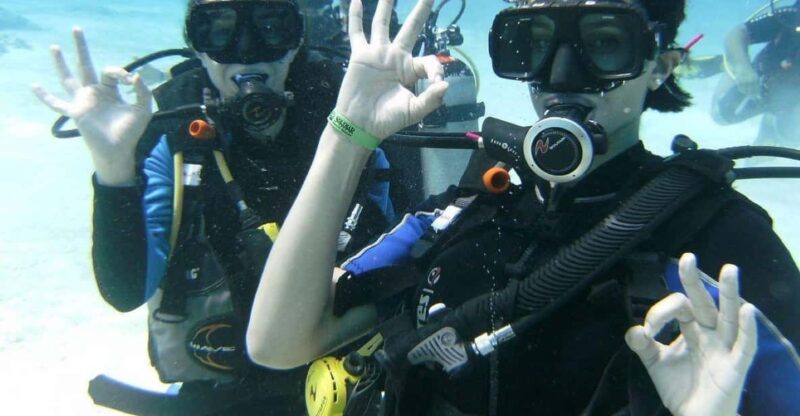 Playa Del Carmen: Scuba Diving With Bull Sharks - Booking Information
