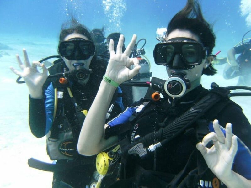 Playa Del Carmen: Scuba Diving With Bull Sharks - Experience Highlights