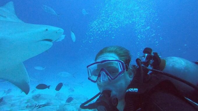 Playa Del Carmen: Scuba Diving With Bull Sharks - Safety Considerations