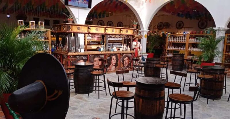 Playa Del Carmen: Shopping Tour, Tasting & 5th Avenue Visit - Transportation and Logistics