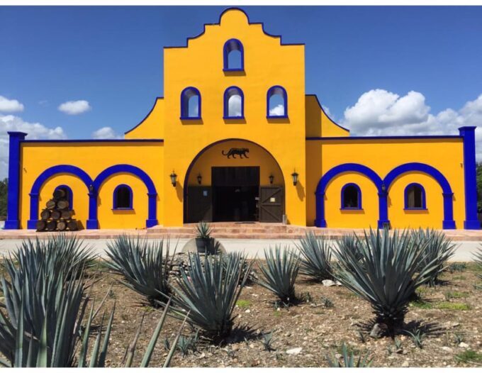 Playa Del Carmen: Shopping Tour, Tasting & 5th Avenue Visit - Free Cancellation and Payment Options